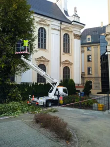 Read more about the article Pielęgnacja drzew we Wrocławiu