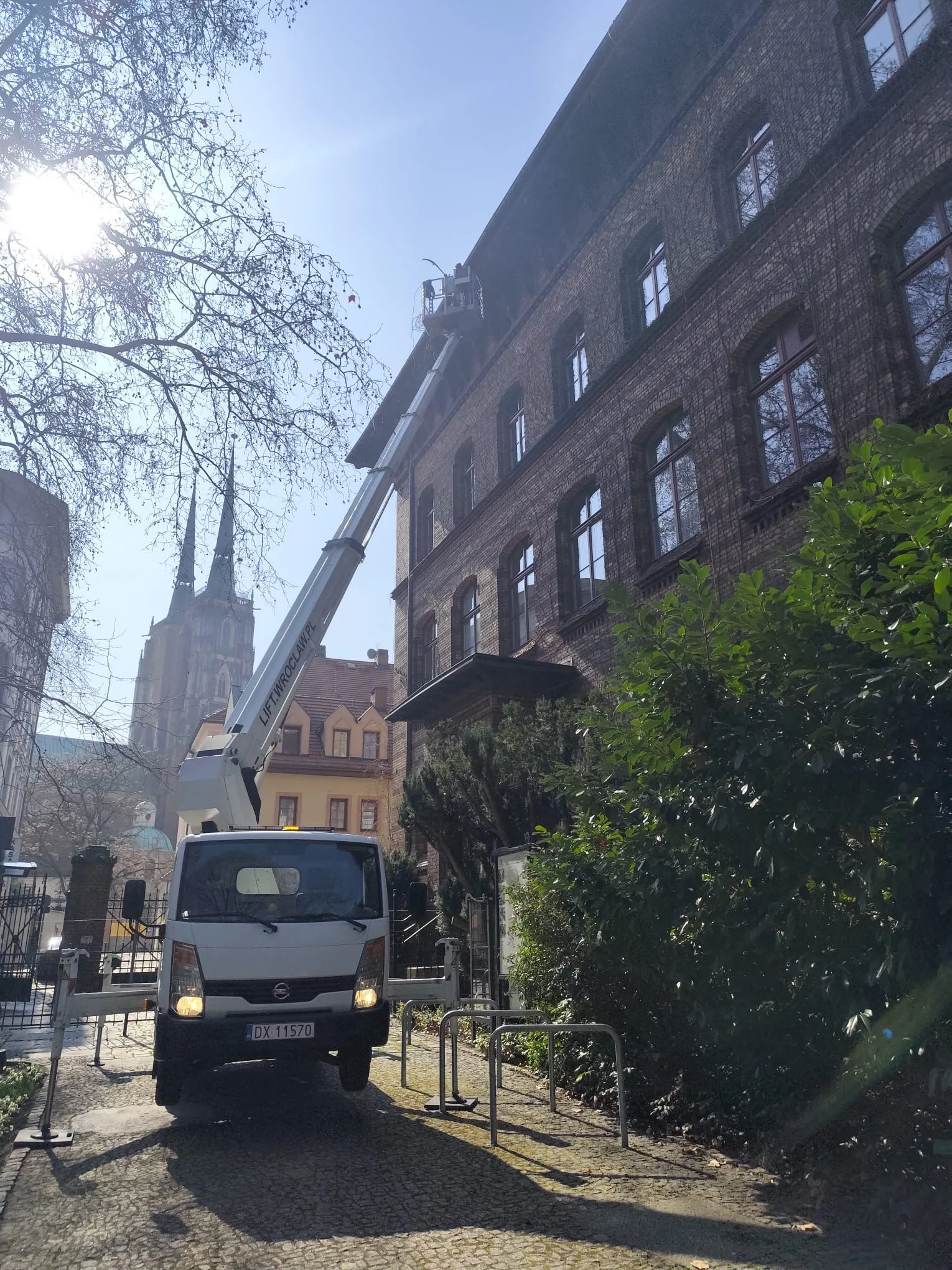 You are currently viewing Usuwanie bluszczu Wrocław