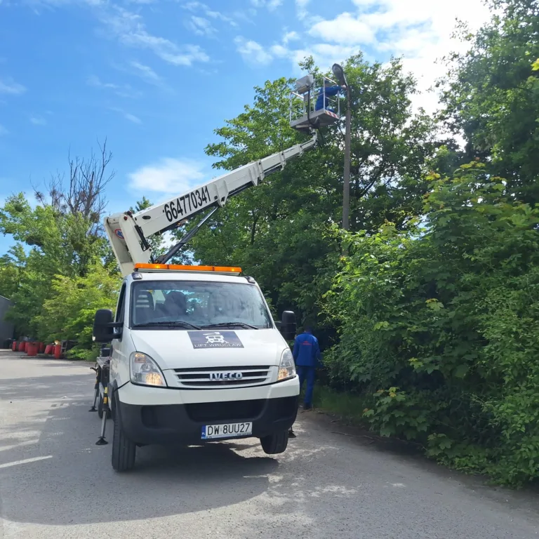 Read more about the article Montaż kolców przeciw ptakom