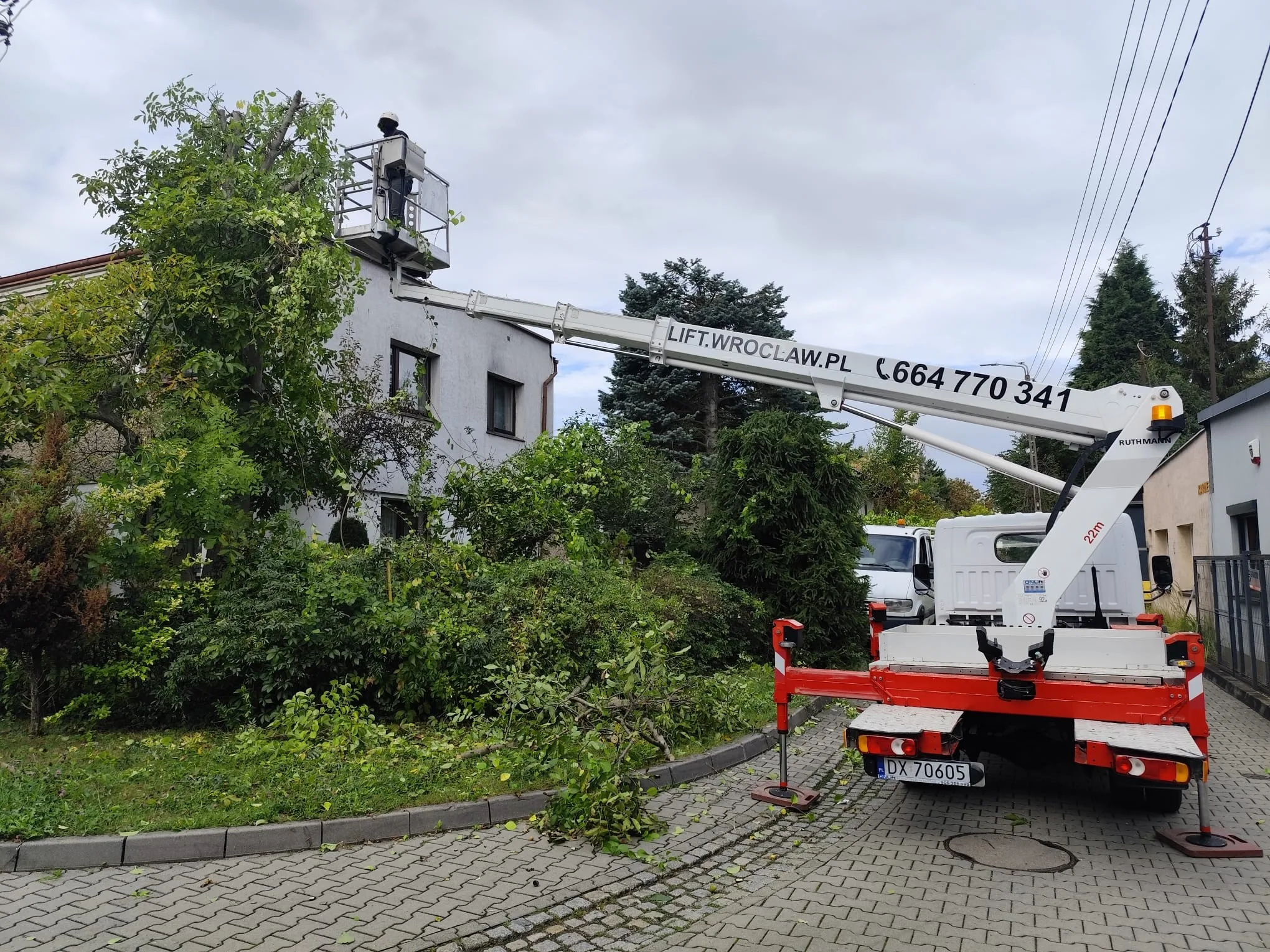 przycinanie drzew z podnośnika koszowego Wrocław