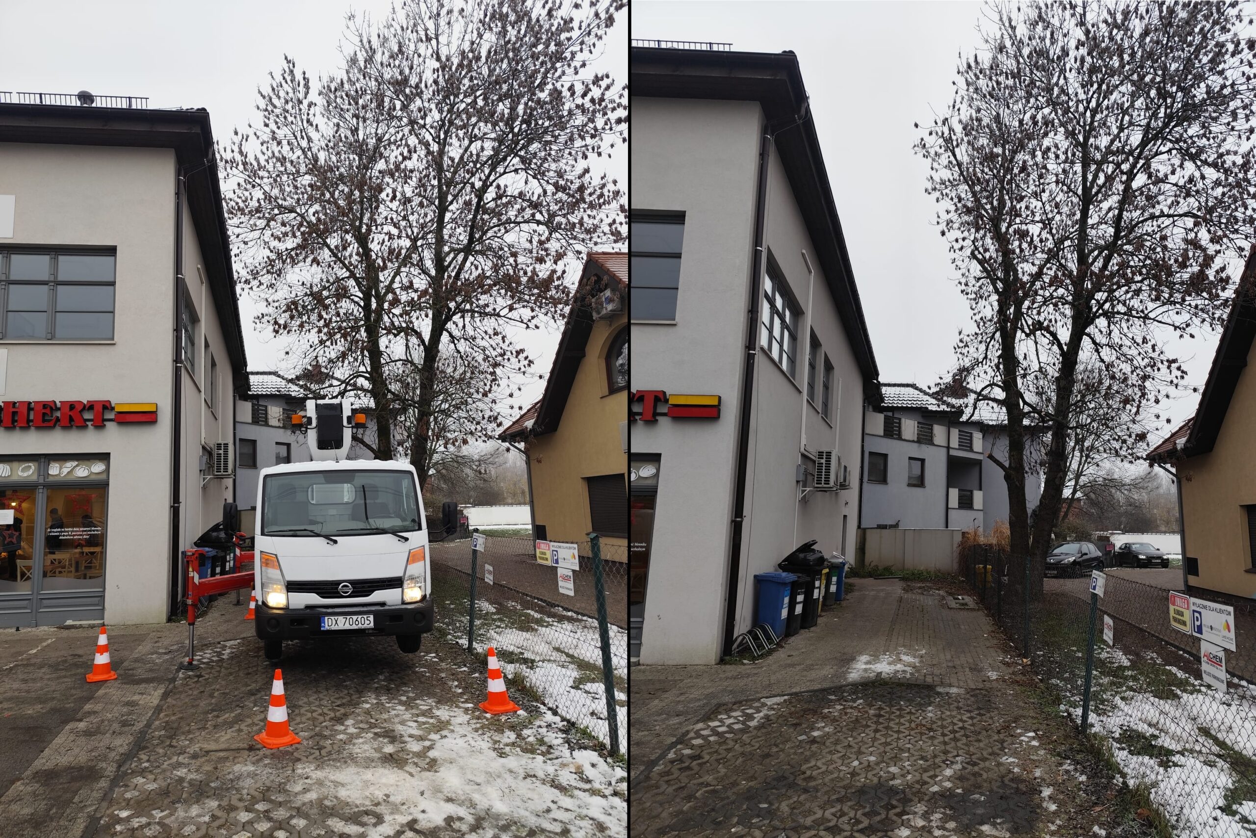 Przycinanie drzew z podnośnika koszowego