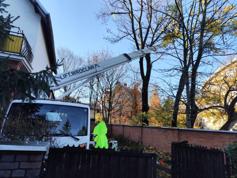 Read more about the article 10 rzeczy, które musisz wiedzieć przed wynajmem podnośnika koszowego