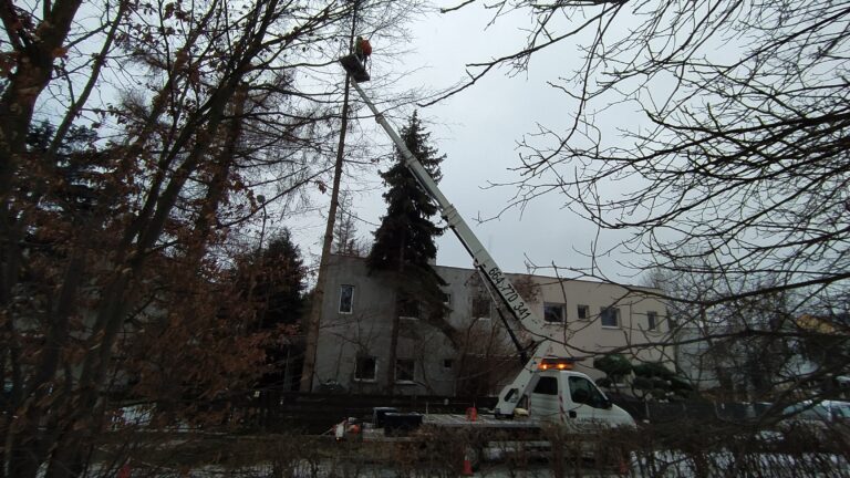 Read more about the article Wycinka drzew z podnośnika koszowego