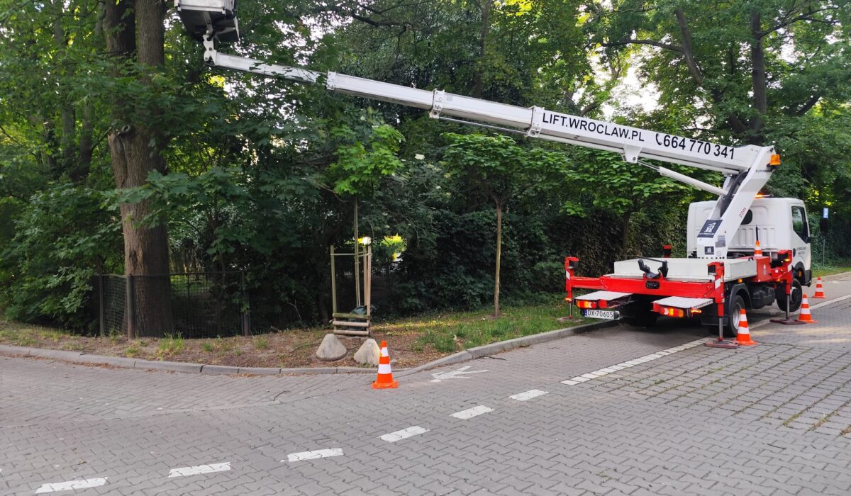 Pielęgnacja drzew z podnośnika koszowego