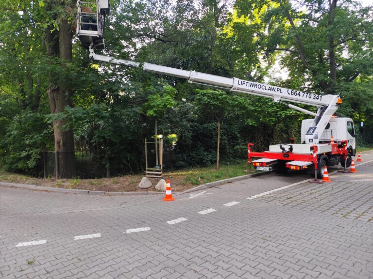 Read more about the article Pielęgnacja drzew z podnośnika koszowego
